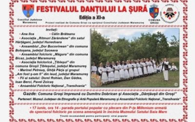 Festivalul Danțului la Șură, Ediția a XI-a