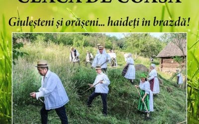 Clacă la coasă la Muzeul Satului!