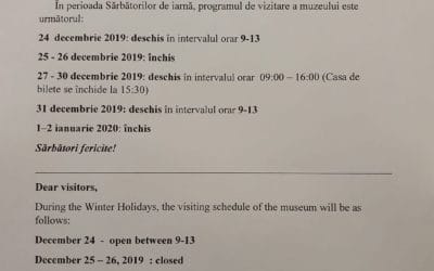 Program de sarbatori