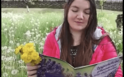 Atelierul de lectură – Povestea florii de păpădie