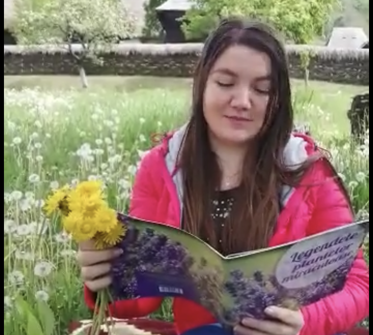 Atelierul de lectură  – Povestea florii de păpădie