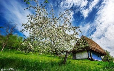 În 18.05.2020 redeschidem porțile Muzeului Satului!