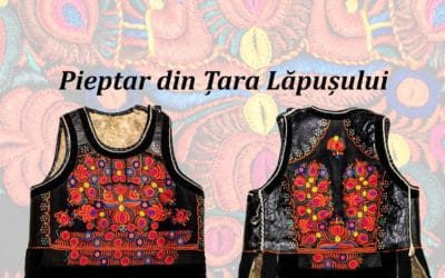 Fain de văzut la muzeu-Februarie: Pieptar din Țara Lăpușului