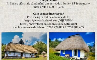 Se caută voluntari la Muzeul Satului!