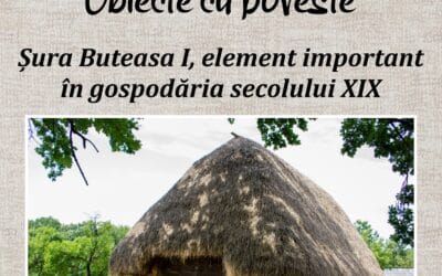 Șura Buteasa I, element important în gospodăria secolului XIX