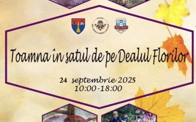 Toamna în Satul de pe Dealul Florilor