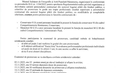 Anunț promovare Conservator și Muncitori!