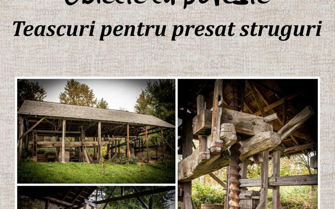 𝐓𝐞𝐚𝐬𝐜𝐮𝐫𝐢 𝐩𝐞𝐧𝐭𝐫𝐮 𝐩𝐫𝐞𝐬𝐚𝐭 𝐬𝐭𝐫𝐮𝐠𝐮𝐫𝐢