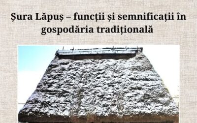 𝐒̦𝐮𝐫𝐚 𝐋𝐚̆𝐩𝐮𝐬̦ – 𝐟𝐮𝐧𝐜𝐭̦𝐢𝐢 𝐬̦𝐢 𝐬𝐞𝐦𝐧𝐢𝐟𝐢𝐜𝐚𝐭̦𝐢𝐢 𝐢̂𝐧 𝐠𝐨𝐬𝐩𝐨𝐝𝐚̆𝐫𝐢𝐚 𝐭𝐫𝐚𝐝𝐢𝐭̦𝐢𝐨𝐧𝐚𝐥𝐚̆